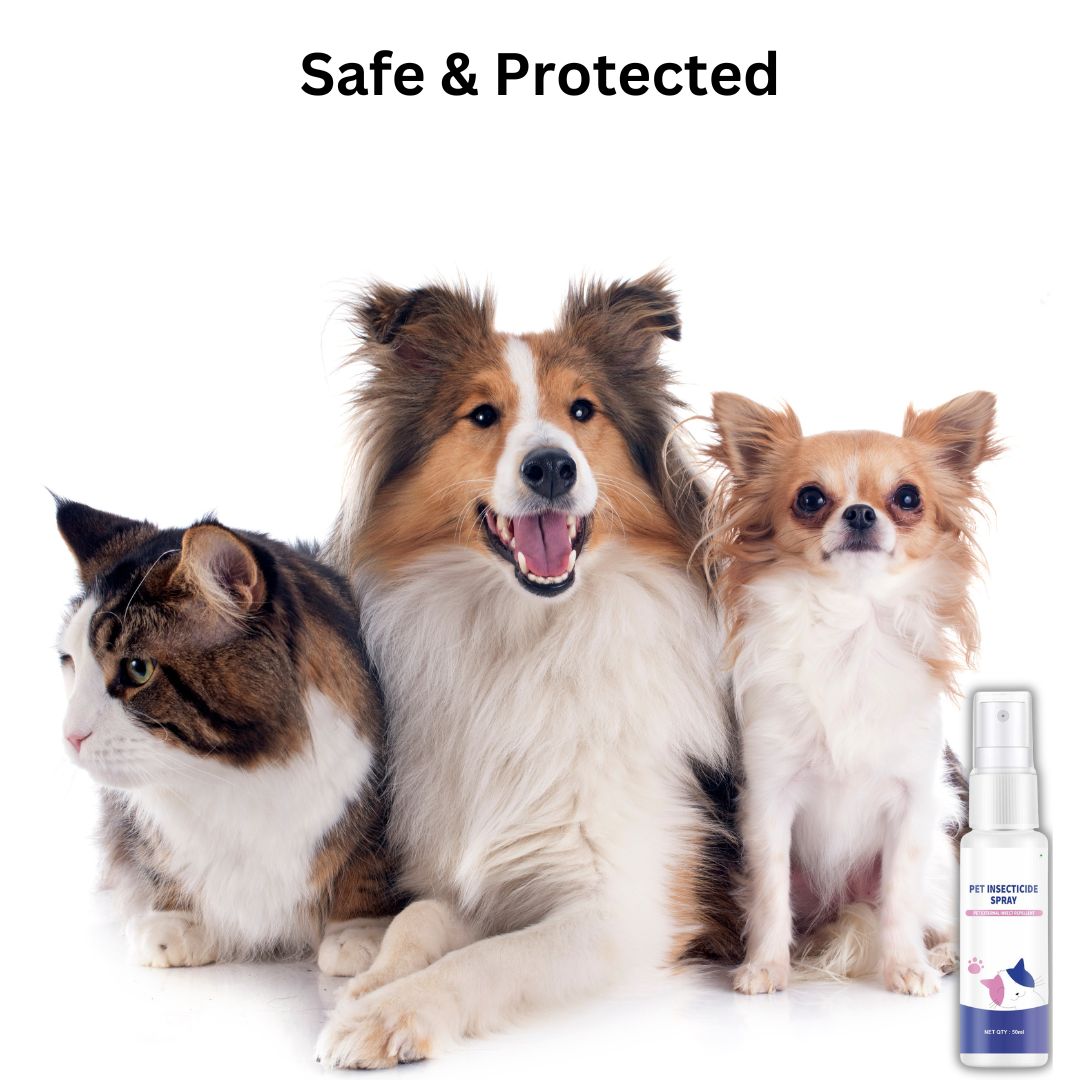 Pet Insecticide Spray