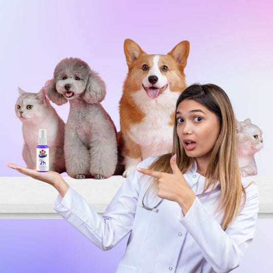 Pet Oral Care